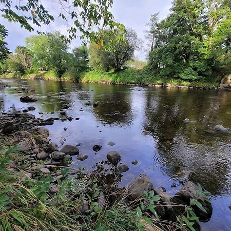 Riverside Bungalow - Direct River Access! Ystradgynlais エクステリア 写真