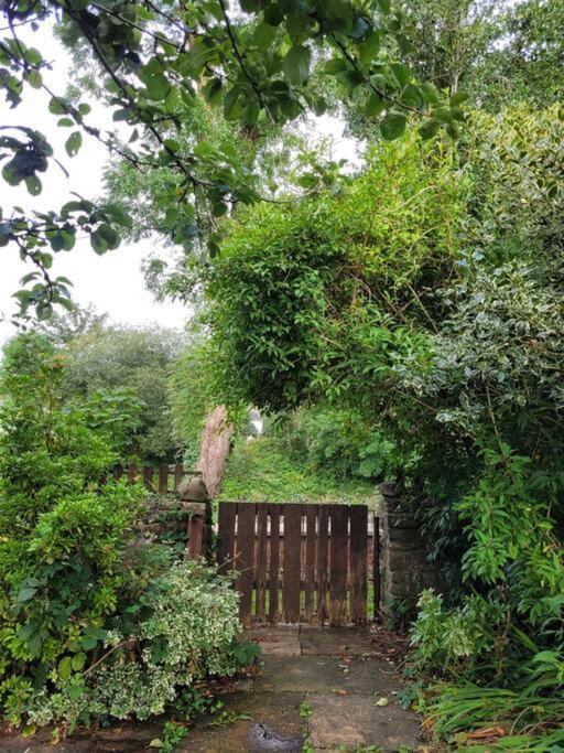 Riverside Bungalow - Direct River Access! Ystradgynlais エクステリア 写真