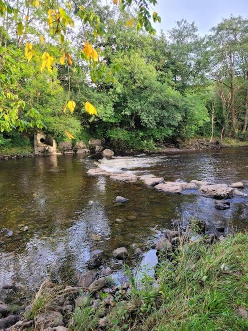 Riverside Bungalow - Direct River Access! Ystradgynlais エクステリア 写真